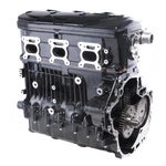 Sea-doo 4tec Sc Gtxlimited Is 255/gtx215/rxt 255 X & 215 Std Engine Motor Sbt. Fixed Price $3949.10.