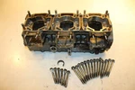 1998 Tigershark Ts1000 Engine Motor Crankcase Block Crank Cases 3008-507. Fixed Price $134.99.