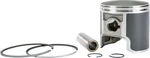 Sp1 T-moly Piston 09-741-01 Ski-doo. Fixed Price $73.80.