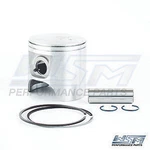 96-'98 For Sea-doo Gsx 800 Wsm Piston S800 82 78-81805. Fixed Price $80.40.
