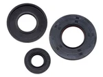 Wavewerx Engine Oil Seal Set For Jet Boat Sportster 1800 Twin Eng. 718 1998-1999. Fixed Price $20.82.