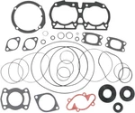Vertex Engine Gasket Set With Oil Seals Sea-doo Xp 580 (1991). Fixed Price $74.48.