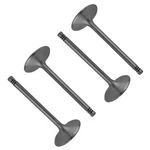 Caltric Intake & Exhaust Valve For Sea-doo Wake 215 2008 / Qty 4. Fixed Price $33.51.