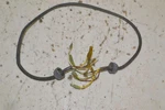 1994 Sea-doo Xp Main Engine Wire Harness 5-wire 290965925. Fixed Price $12.95.