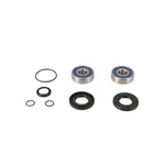 All Balls Jet Pump Rebuild Kit 14-3003. Fixed Price $32.81.