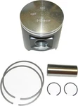 Wsm Platinum Series Piston Kit 010-841-06pk. Fixed Price $84.24.