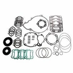 Tigershark Complete Gasket Kit Sbt-48-503 900 Monte Carlo Ts 1995-99. Fixed Price $89.95.