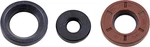 Vertex Crankshaft Oil Seal Kit For 2005-2011 Sea-doo Boats 180 Challenger. Fixed Price $27.92.