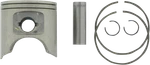 Wsm 010-820k Piston Kit 80mm Kawasaki Js750 750sx. Fixed Price $75.56.