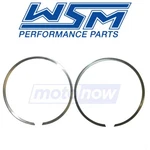 Wsm Ring Set For 2000-2002 Sea-doo Gtx - Engine Pistons Piston Rings Dw. Fixed Price $33.08.