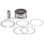 Yamaha Sho 1.8lit Fx-fzr-fzs-gp-ar192-sx195-255-275 Piston Ring Set Std 2008&up. Fixed Price $146.98.