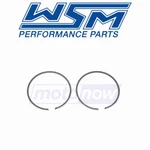 Wsm Piston Ring Set For 2000-2002 Sea-doo Rx - Engine Pistons Rings Tx. Fixed Price $33.08.