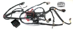 Oem Seadoo 2012 Gti 130 Se 155 Rxp-x 260 Main Wiring Harness 278002814. Fixed Price $899.99.