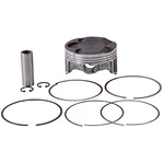 Sbt Piston & Ring Kit For Yamaha 6d3-11631-00-b0 Ar210 Sx210 Vx110 (76mm). Fixed Price $114.95.