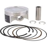 New Forged Replica Piston Kit Pps-10066 For Arctic Cat 700 H1 Efi 2008-2011. Fixed Price $207.86.