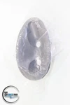 Seadoo Gtx 787 800 1996 Front Hook Backing Plate 292000297. Fixed Price $23.95.