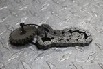 Kawasaki Oem Engine Oil Pump Drive Driven Gear 12046-3703 92057-3713 Chain. Fixed Price $19.95.