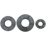 1993-1994 Sea-doo Spi Watercraft Vertex Oil Seal Set. Fixed Price $26.88.