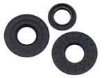Wave Werx Engine Oil Seal Set Wc-09382. Fixed Price $22.57.