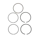 Sbt- Ring For Yamaha - 1050 (tr1) 6kh-11603-01-00 Vx/v1/ex/210 Fsh/exr Std Bore. Fixed Price $36.25.