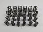 Sea-doo Oem 4-tec Valve Spring Set 420838180 420838280 155 215 Gtx Rxt Rxp 260. Fixed Price $129.99.