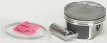 Wsm Piston Kit .5mm 010-873-05pk. Fixed Price $130.42.