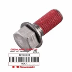 Qty 2 Kawasaki Jet Ski Mate Bolt 10x25 Oem 92150-3818. Fixed Price $24.99.