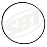 Sea-doo Gtx Rfi/3d Rfi/gti Rfi 1998-05 Manifold Oring 420850520 Sbt 41-110-02. Fixed Price $10.10.