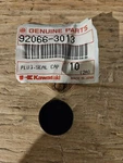 Kawasaki Oem Js550 Jet Pump Plug Seal Cap 92066-3013. Fixed Price $18.00.