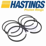 Hastings Moly Ring Set For 1998 Harley Davidson Fltri Road Glide - Engine Lo. Fixed Price $61.39.
