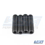 Precision Trim Cylinder End Cap Remover Pins Johnson / Evinrude - 983-409p. Fixed Price $14.97.