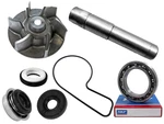 Kawasaki Teryx Krx1000 Krx4 Oem Water Pump Rebuild Repair Kit Shaft Seal Bearing. Fixed Price $98.99.
