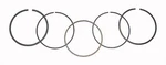 Wsm Kawasaki 300 Piston Ring Set 51-255, Oe 13008-1111. Fixed Price $32.97.