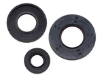 Wavewerx Engine Oil Seal Set Wc-09391. Fixed Price $18.95.