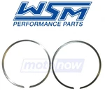 Wsm Ring Set For 1998-1999 Sea-doo Gsx Limited - Engine Pistons Piston Rings Bb. Fixed Price $33.08.