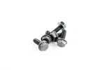 Wsm Magneto Bolt For Sea-doo 1503 / 1630 4-tec 03-23 014-907. Fixed Price $21.86.