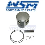 Wsm Platinum Series Piston Kit For 1997-1999 Sea-doo (boats) 1800 Challenger Ep. Fixed Price $95.05.