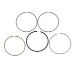 Sbt Ring Set For Sea-doo 420892824 Spark 900 Ho Ace 3up Trixx. Fixed Price $47.95.