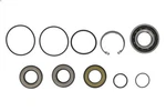 Wsm 3-645-01 Jet Pump Repair Kit. Fixed Price $220.42.