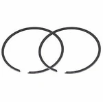 Polaris Piston Ring Set 1999-2004 Genesis Virage Octane Sltx Standard Bore. Fixed Price $39.95.