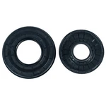 Tigershark Crankshaft End Seal Kit 900 Monte Carlo 1995 1996 Sbt. Fixed Price $28.60.