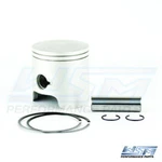 Wsm 010-830-07k For Polaris Piston 1mm Over. Fixed Price $88.43.