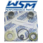 Wsm Jet Pump Repair Kit For 2001 Sea-doo Gts - Propulsion Driveline Li. Fixed Price $79.14.