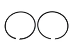 New Oem Polaris 2200917 Piston Ring Kit Qty 1 Nos. Fixed Price $81.95.