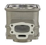 Sbt Single Cylinder Kit For Sea-doo 290913376 Gti Gs Gts Sportster Hx Speedster. Fixed Price $355.95.