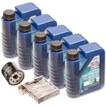 Oil Change Service Kit W/ Filter & Ngk Plugs For Kawasaki Ultra 250 260 300 310. Fixed Price $129.95.