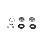 All Balls Jet Pump Rebuild Kit 14-3016. Fixed Price $64.74.