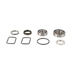 All Balls Pwc Jet Pump Rebuild Kit 14-3045. Fixed Price $75.23.
