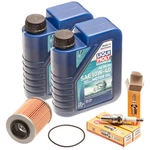 Oil Change Service Kit W/ Filter & Ngk Plugs For Seadoo Spark All Models 09 Up. Fixed Price $56.95.